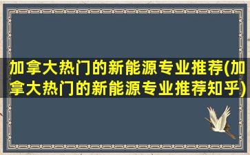 加拿大热门的新能源专业推荐(加拿大热门的新能源专业推荐知乎)