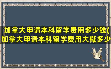 加拿大申请本科留学费用多少钱(加拿大申请本科留学费用大概多少)