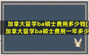 加拿大留学ba硕士费用多少钱(加拿大留学ba硕士费用一年多少)