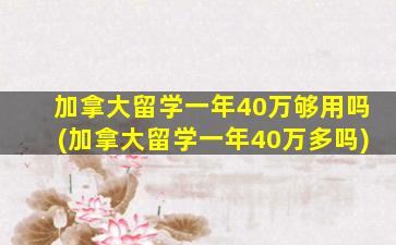 加拿大留学一年40万够用吗(加拿大留学一年40万多吗)