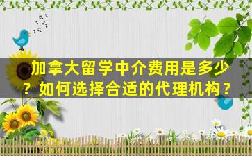 加拿大留学中介费用是多少？如何选择合适的代理机构？