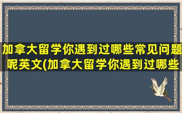 加拿大留学你遇到过哪些常见问题呢英文(加拿大留学你遇到过哪些常见问题呢英语翻译)