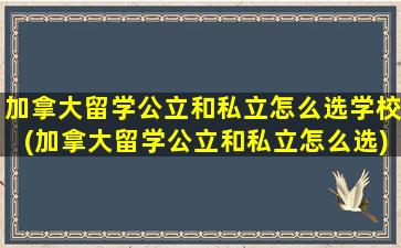 加拿大留学公立和私立怎么选学校(加拿大留学公立和私立怎么选)