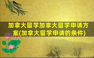 加拿大留学加拿大留学申请方案(加拿大留学申请的条件)