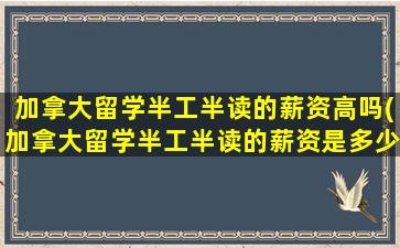 加拿大留学半工半读的薪资高吗(加拿大留学半工半读的薪资是多少)