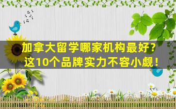 加拿大留学哪家机构最好？这10个品牌实力不容小觑！