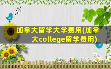 加拿大留学大学费用(加拿大college留学费用)