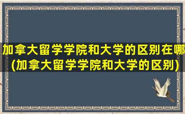 加拿大留学学院和大学的区别在哪(加拿大留学学院和大学的区别)