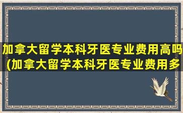 加拿大留学本科牙医专业费用高吗(加拿大留学本科牙医专业费用多少钱)