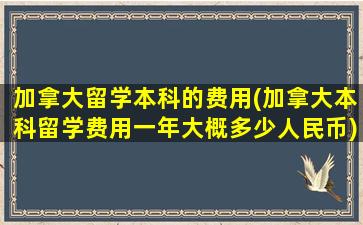 加拿大留学本科的费用(加拿大本科留学费用一年大概多少人民币)