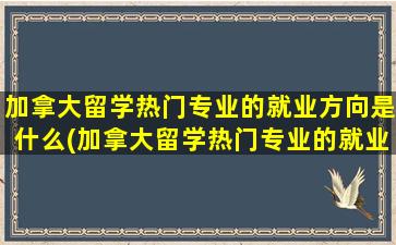 加拿大留学热门专业的就业方向是什么(加拿大留学热门专业的就业方向及前景)