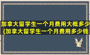 加拿大留学生一个月费用大概多少(加拿大留学生一个月费用多少钱)