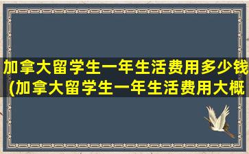 加拿大留学生一年生活费用多少钱(加拿大留学生一年生活费用大概多少)