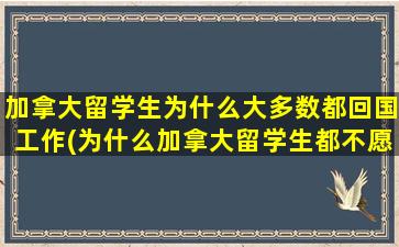 加拿大留学生为什么大多数都回国工作(为什么加拿大留学生都不愿回国)