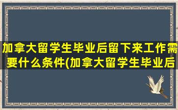 加拿大留学生毕业后留下来工作需要什么条件(加拿大留学生毕业后多长时间能拿到枫叶卡)