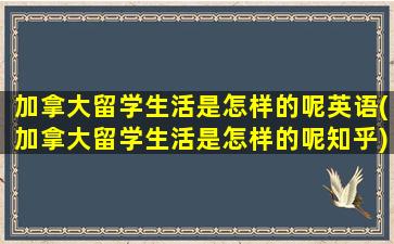 加拿大留学生活是怎样的呢英语(加拿大留学生活是怎样的呢知乎)