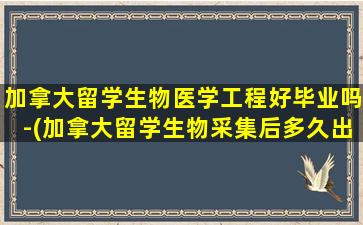 加拿大留学生物医学工程好毕业吗-(加拿大留学生物采集后多久出签证结果)