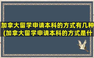 加拿大留学申请本科的方式有几种(加拿大留学申请本科的方式是什么)