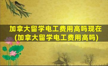 加拿大留学电工费用高吗现在(加拿大留学电工费用高吗)