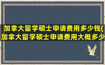 加拿大留学硕士申请费用多少钱(加拿大留学硕士申请费用大概多少)