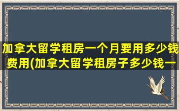 加拿大留学租房一个月要用多少钱费用(加拿大留学租房子多少钱一个月)