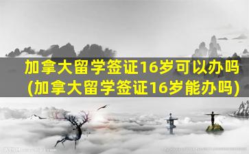 加拿大留学签证16岁可以办吗(加拿大留学签证16岁能办吗)