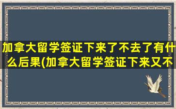 加拿大留学签证下来了不去了有什么后果(加拿大留学签证下来又不想去了会有什么后果)