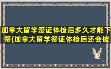 加拿大留学签证体检后多久才能下签(加拿大留学签证体检后还会被拒签么)