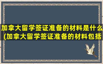 加拿大留学签证准备的材料是什么(加拿大留学签证准备的材料包括哪些)