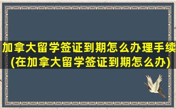 加拿大留学签证到期怎么办理手续(在加拿大留学签证到期怎么办)