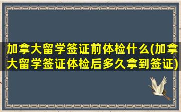 加拿大留学签证前体检什么(加拿大留学签证体检后多久拿到签证)