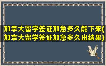 加拿大留学签证加急多久能下来(加拿大留学签证加急多久出结果)