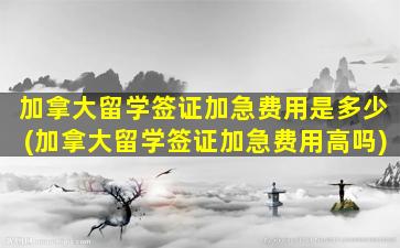 加拿大留学签证加急费用是多少(加拿大留学签证加急费用高吗)