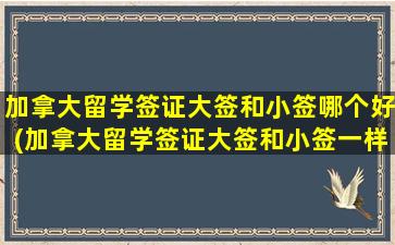 加拿大留学签证大签和小签哪个好(加拿大留学签证大签和小签一样吗)