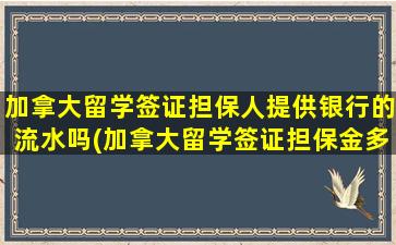 加拿大留学签证担保人提供银行的流水吗(加拿大留学签证担保金多少)