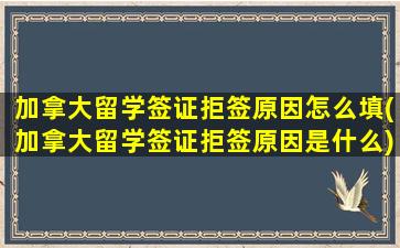 加拿大留学签证拒签原因怎么填(加拿大留学签证拒签原因是什么)