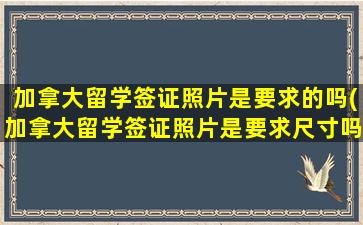 加拿大留学签证照片是要求的吗(加拿大留学签证照片是要求尺寸吗)