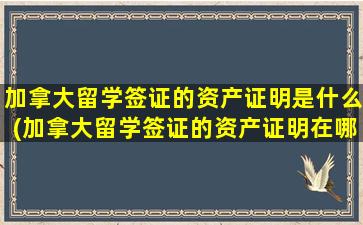 加拿大留学签证的资产证明是什么(加拿大留学签证的资产证明在哪里开)