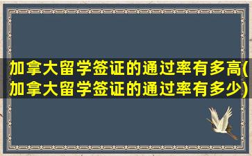 加拿大留学签证的通过率有多高(加拿大留学签证的通过率有多少)