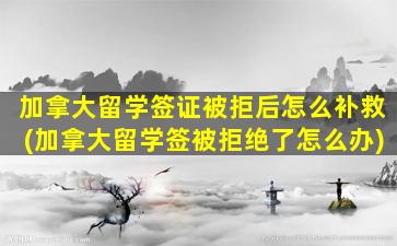 加拿大留学签证被拒后怎么补救(加拿大留学签被拒绝了怎么办)