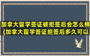 加拿大留学签证被拒签后会怎么样(加拿大留学签证拒签后多久可以重签)