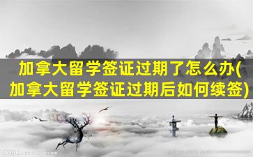 加拿大留学签证过期了怎么办(加拿大留学签证过期后如何续签)