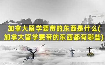 加拿大留学要带的东西是什么(加拿大留学要带的东西都有哪些)