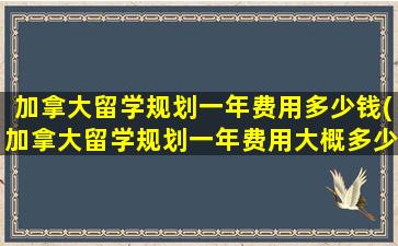 加拿大留学规划一年费用多少钱(加拿大留学规划一年费用大概多少)