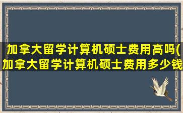 加拿大留学计算机硕士费用高吗(加拿大留学计算机硕士费用多少钱)