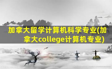 加拿大留学计算机科学专业(加拿大college计算机专业)