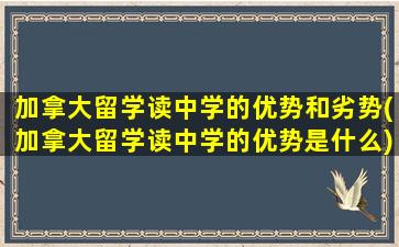 加拿大留学读中学的优势和劣势(加拿大留学读中学的优势是什么)