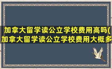 加拿大留学读公立学校费用高吗(加拿大留学读公立学校费用大概多少)