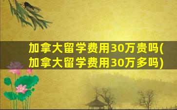 加拿大留学费用30万贵吗(加拿大留学费用30万多吗)