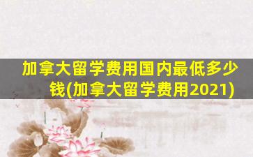 加拿大留学费用国内最低多少钱(加拿大留学费用2021)